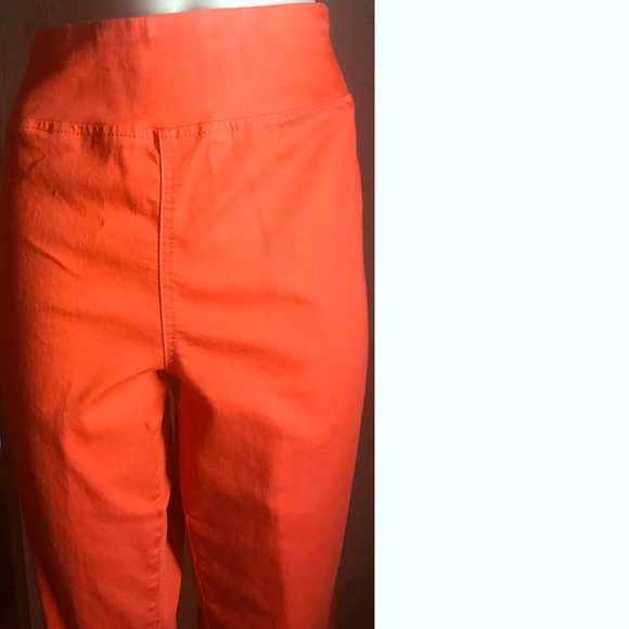DG By Diane Gilman  Orange Stretch Pants XL - Picture 6 of 8